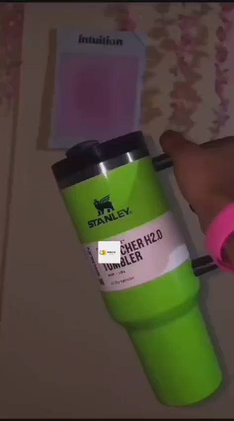 Neon Stanley Tumblers